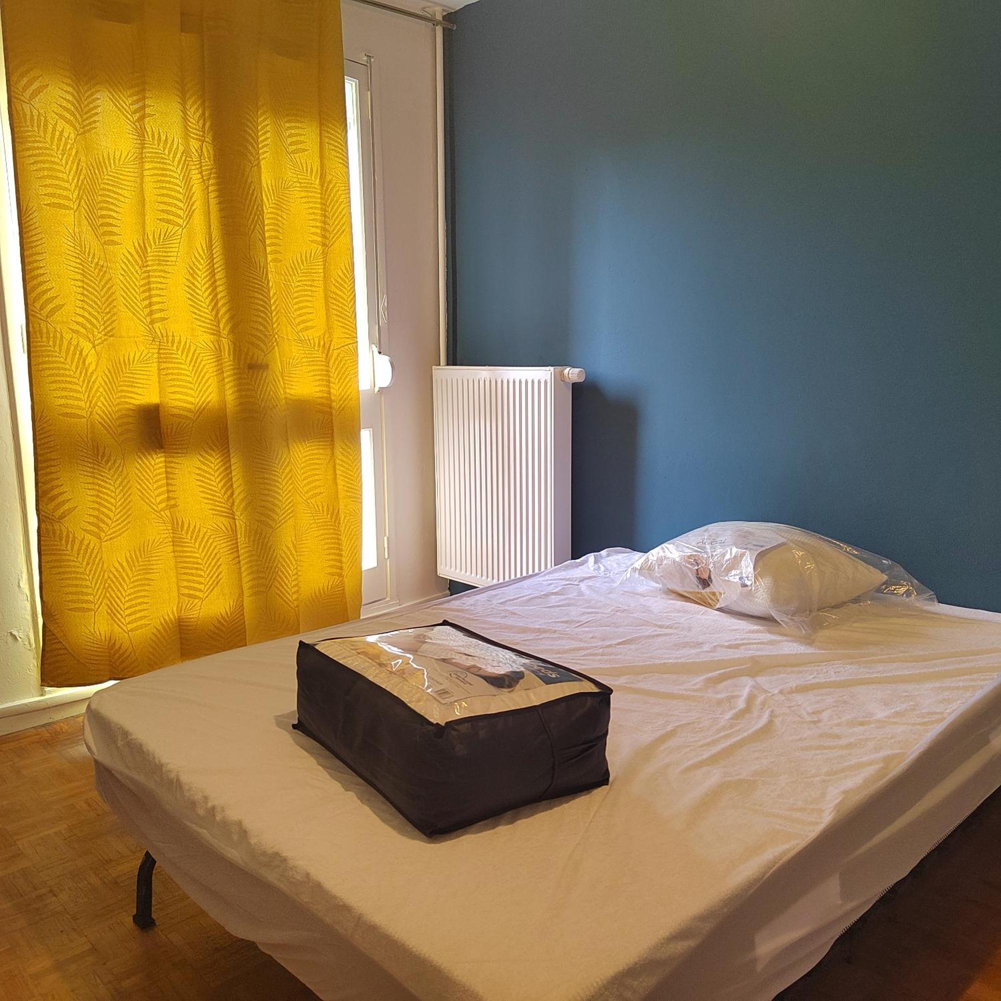 Chambre Dans Un Appartement En Colocation Rennes Exterior photo